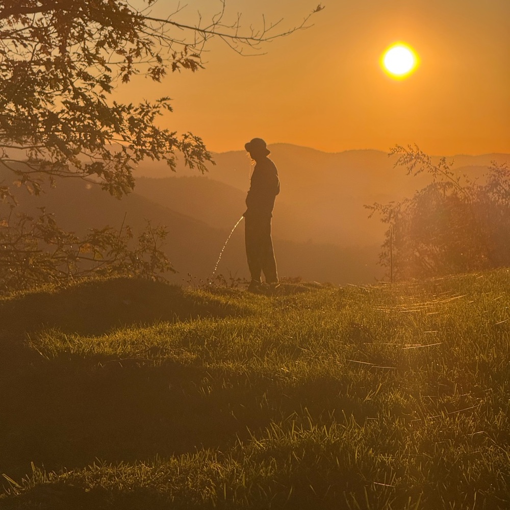 Meet your Posher, Logan